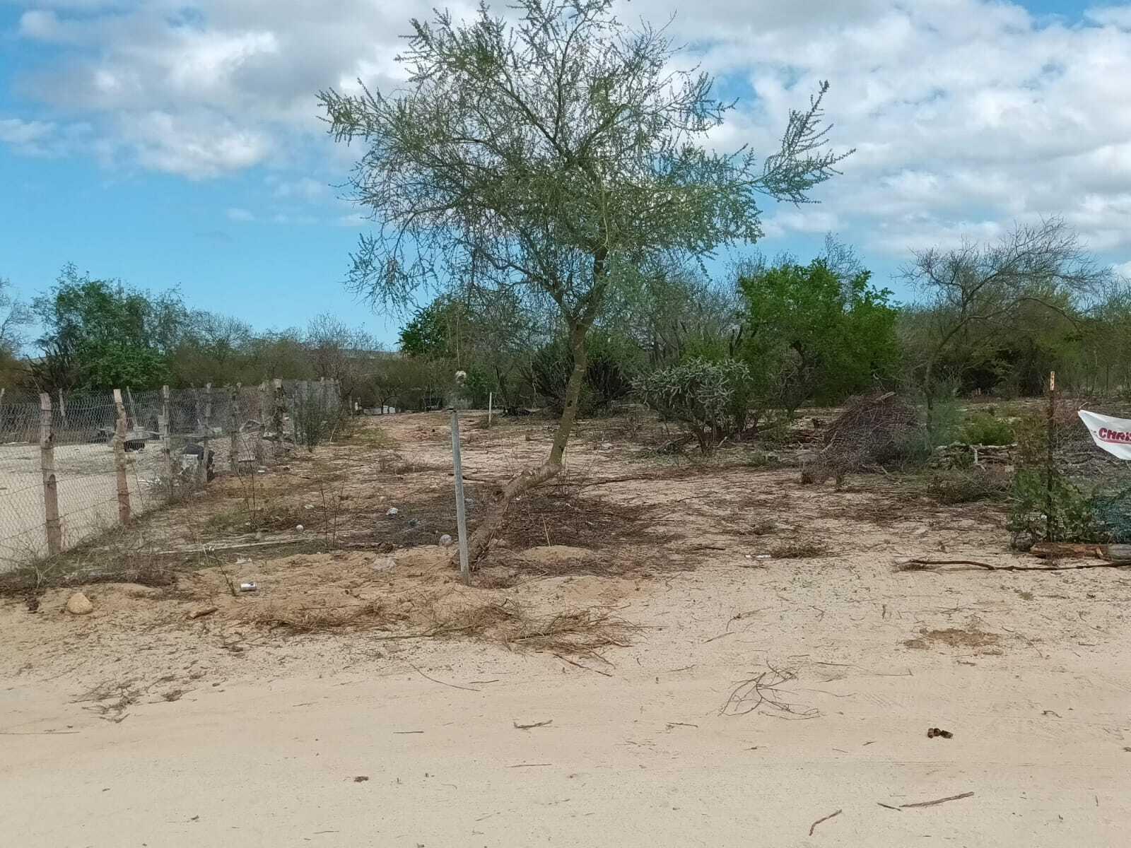 Lote 11 Manzana 19, Biznaga Lot