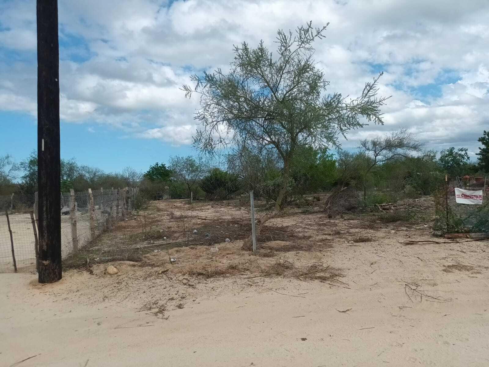 Lote 11 Manzana 19, Biznaga Lot