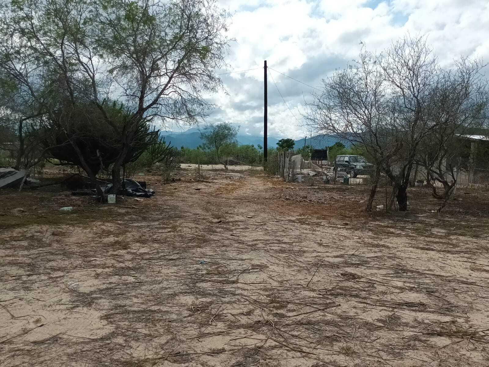 Lote 11 Manzana 19, Biznaga Lot