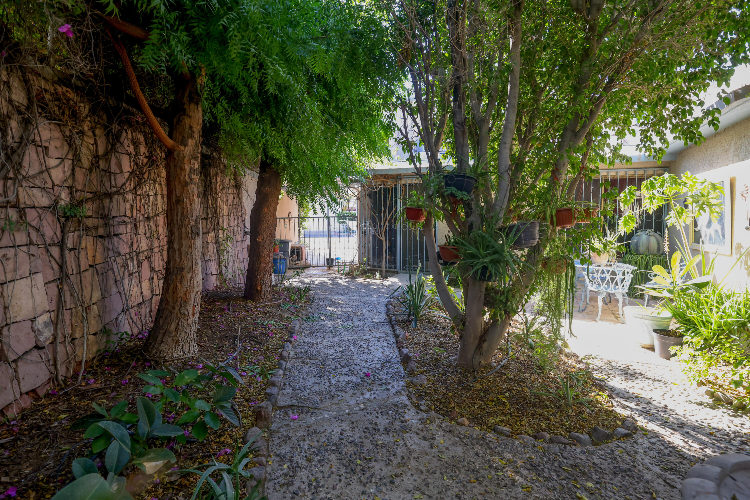 Casa Musi