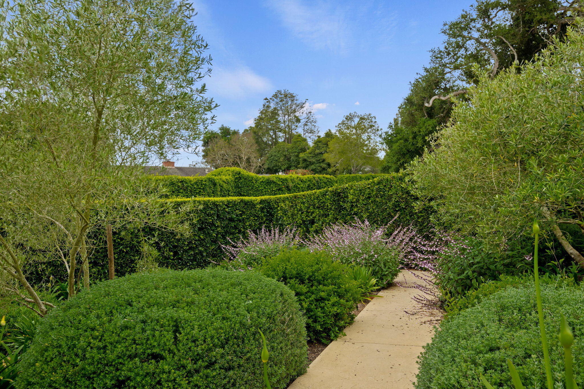 1350 Santa Clara Way