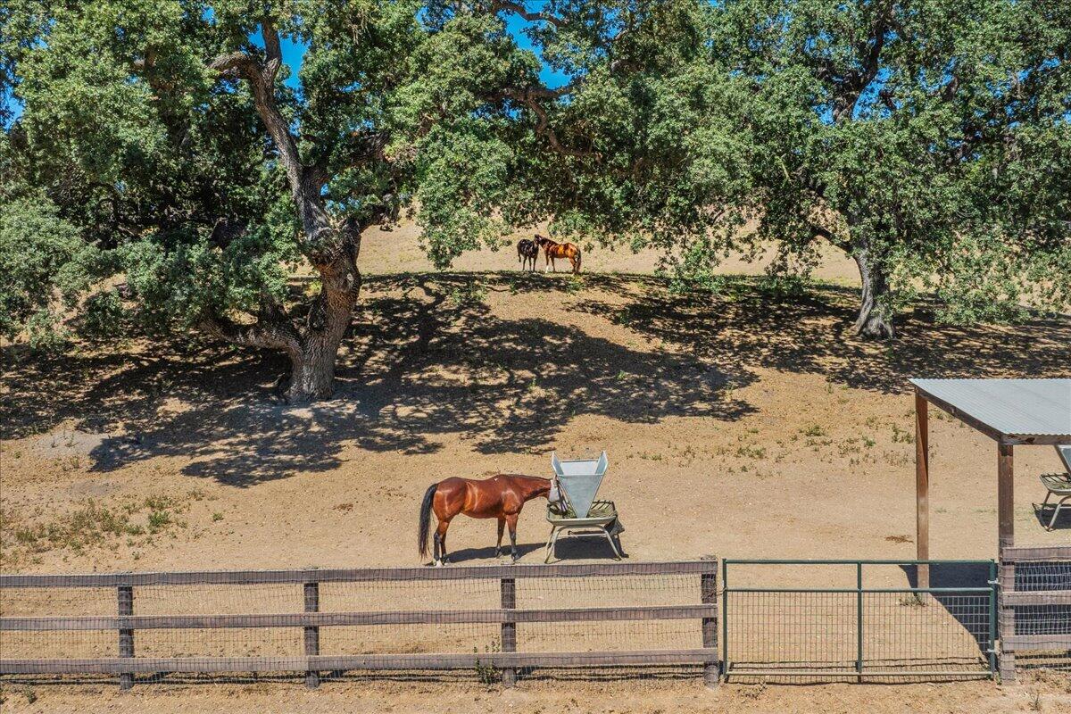 2279 Alamo Pintado Road