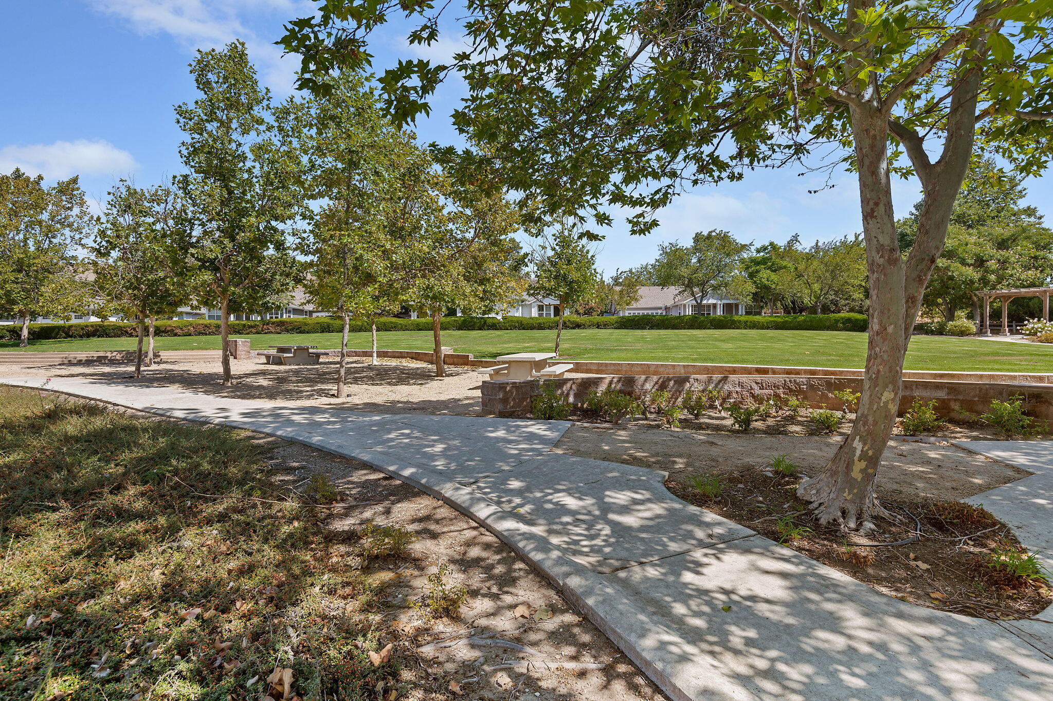 320 Savanna Drive