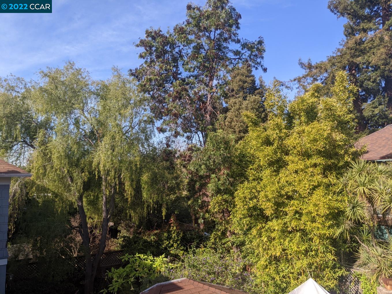 3050 College Ave Unit: 4