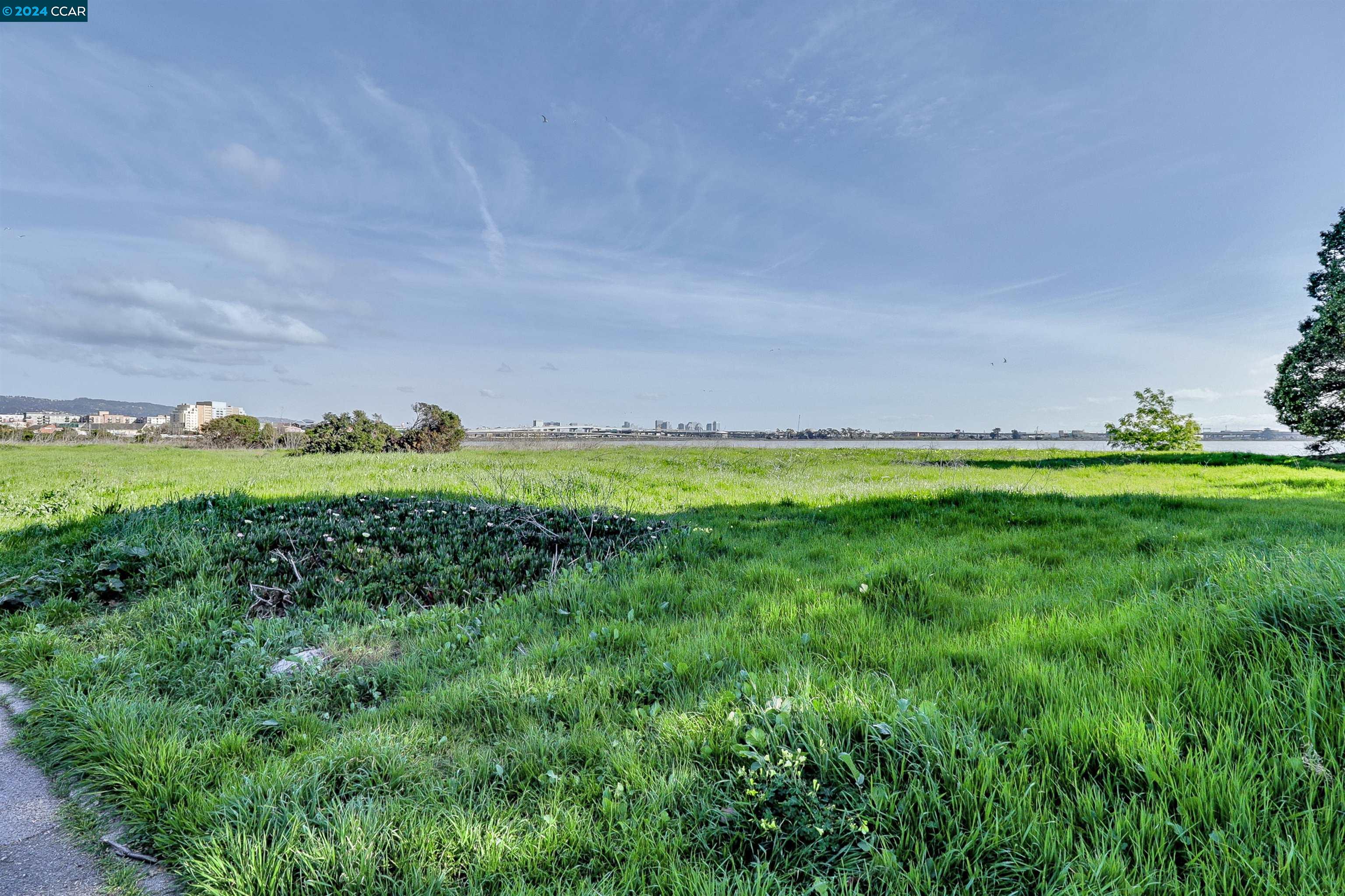 6 Commodore Dr # C236