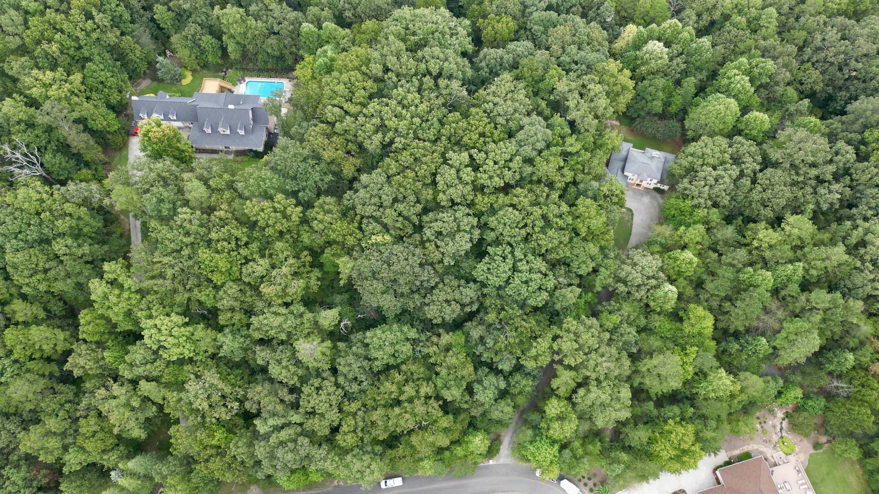 00 Percheron Northwest Drive, 10