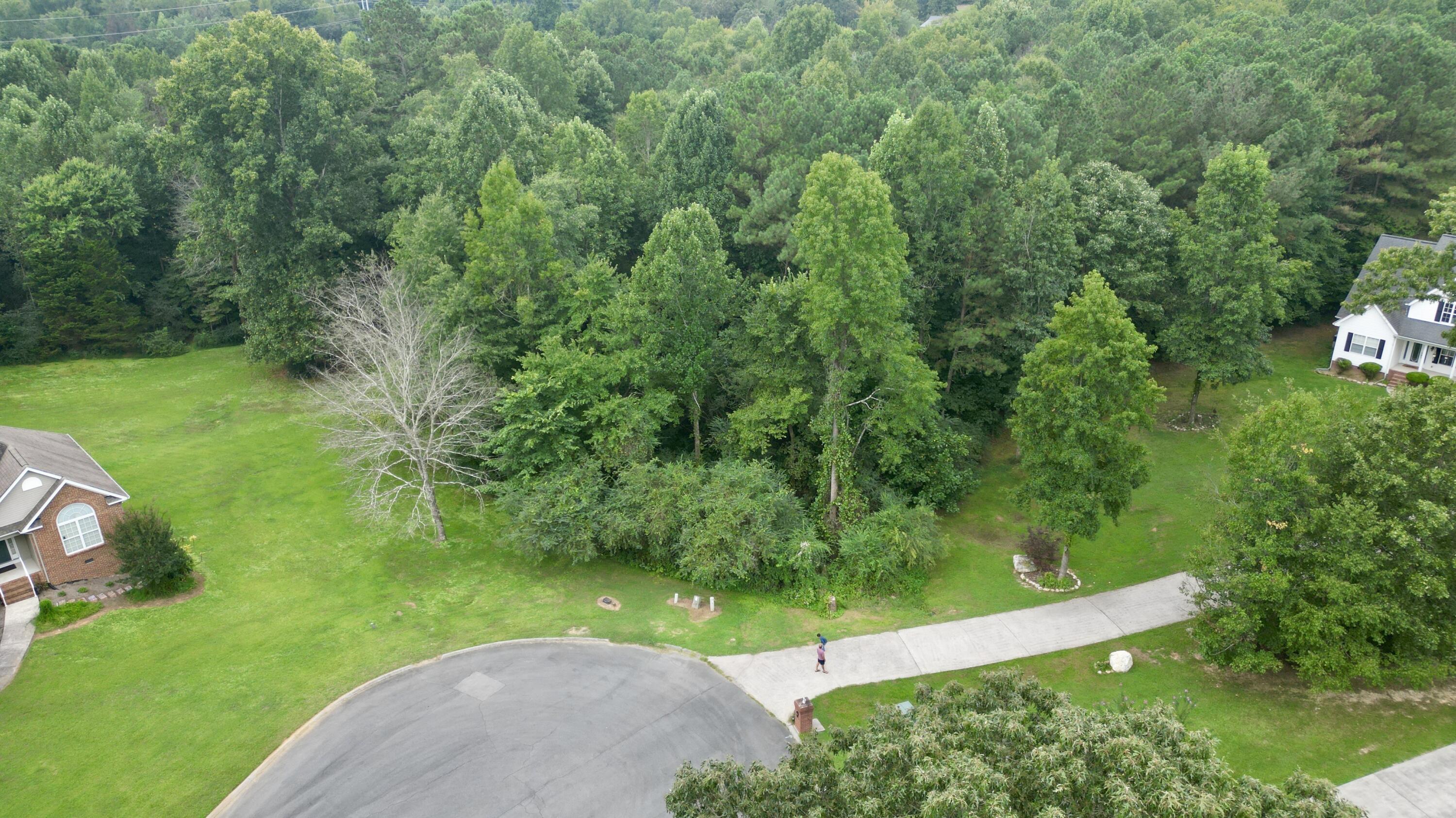 00 Percheron Northwest Drive, 10