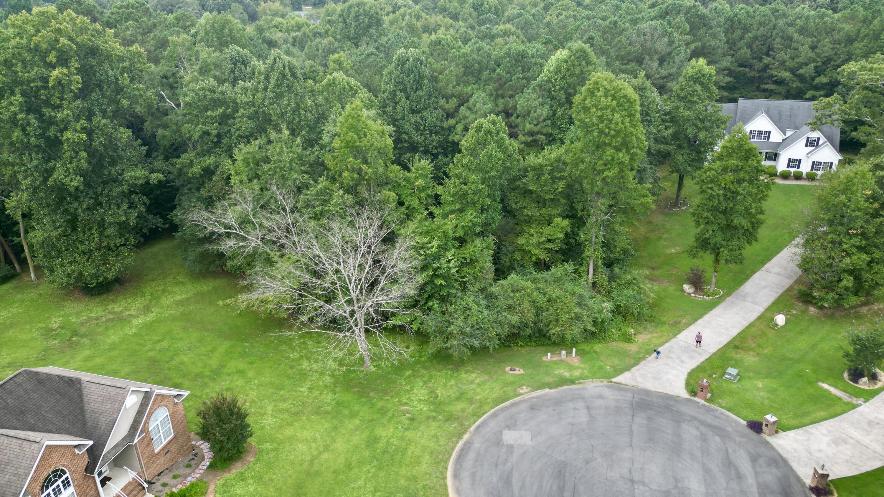 00 Percheron Northwest Drive, 10