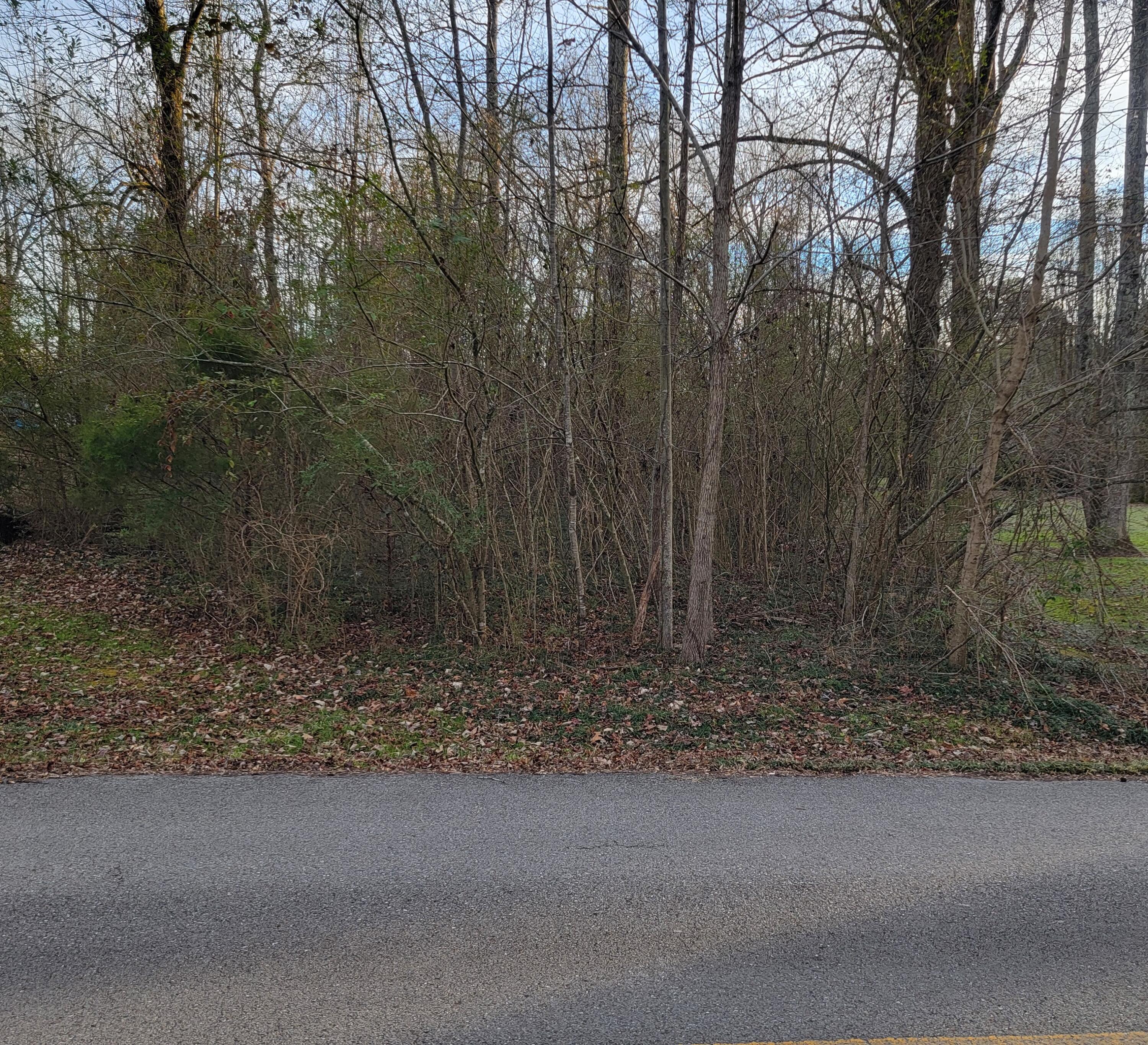 0 Eagle Cliff Drive