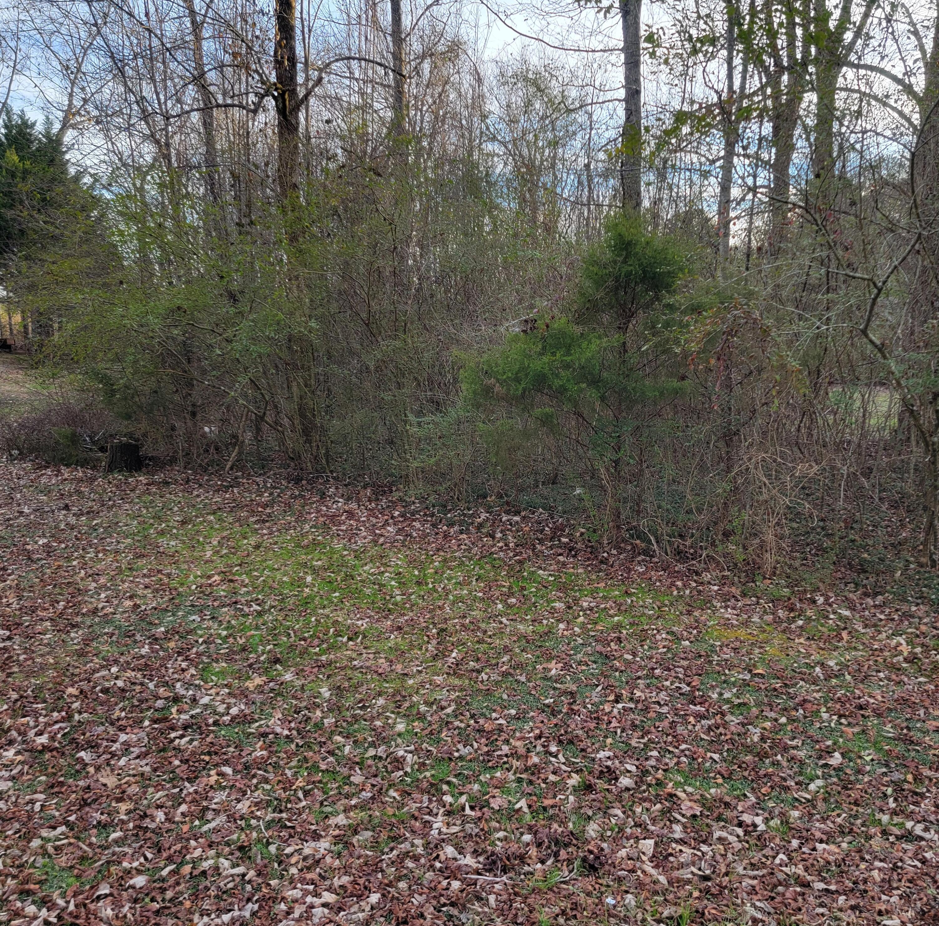 0 Eagle Cliff Drive