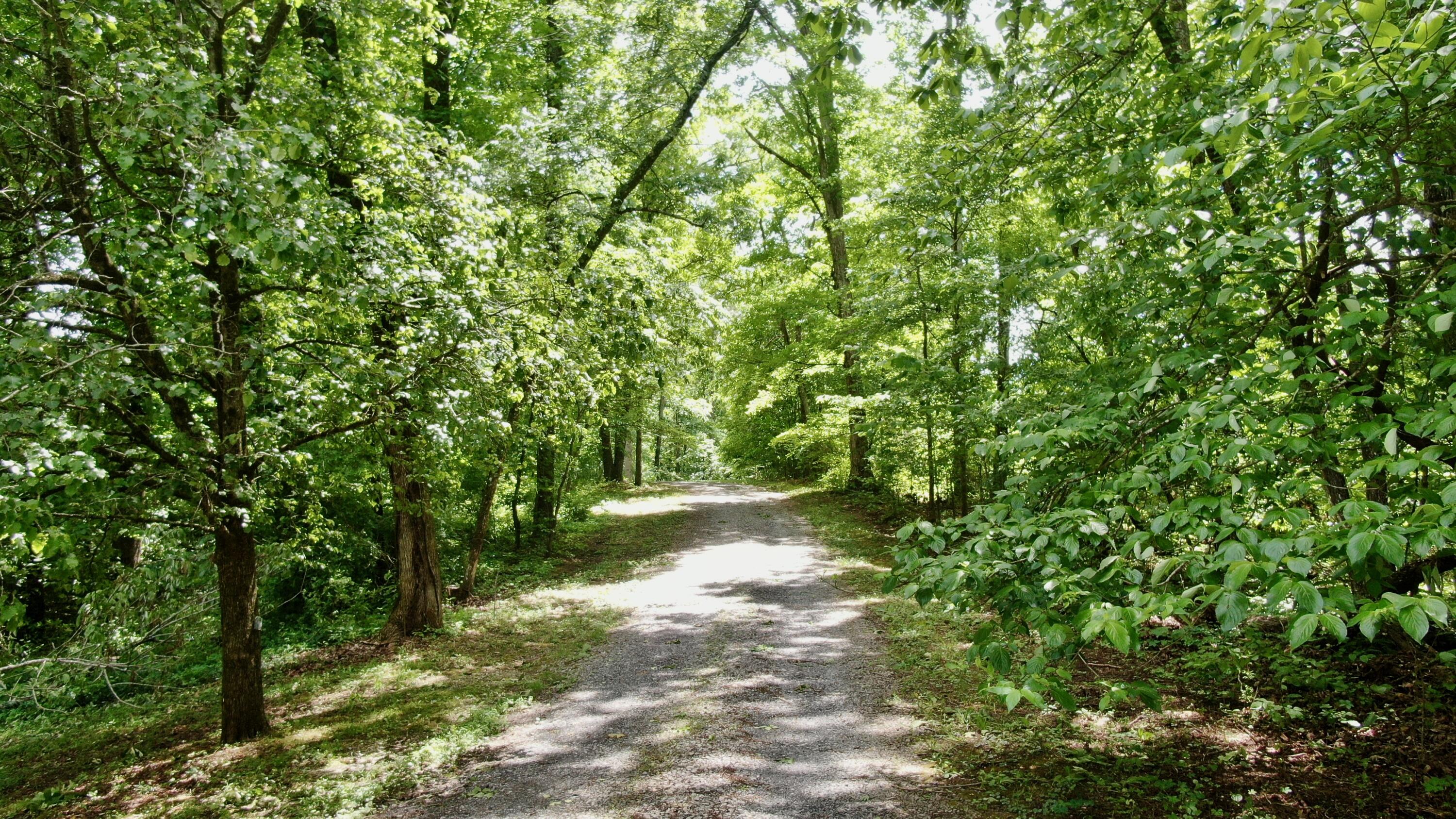 986 Cohutta Beaverdale Road