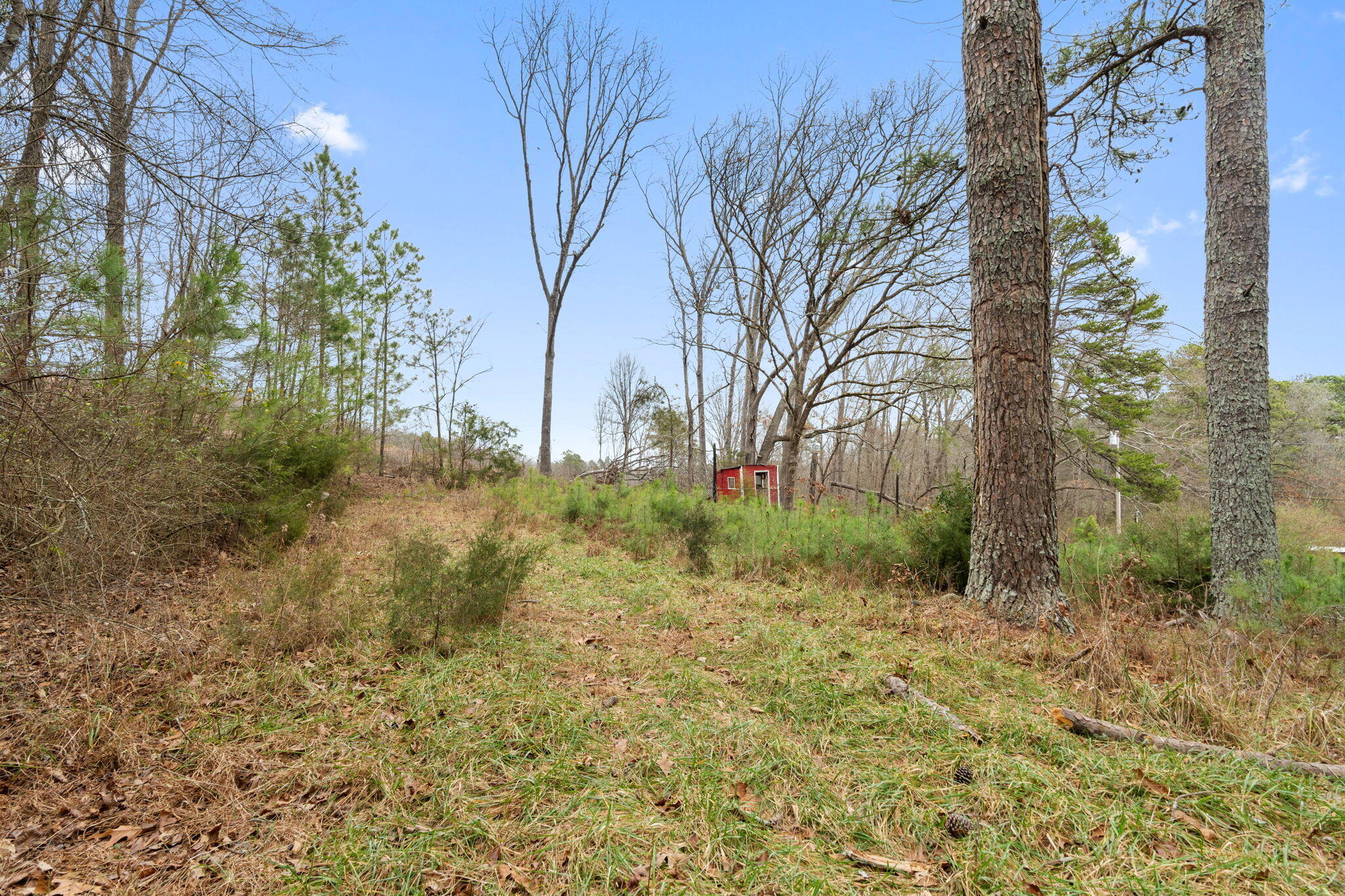 2298 Pine Grove Road