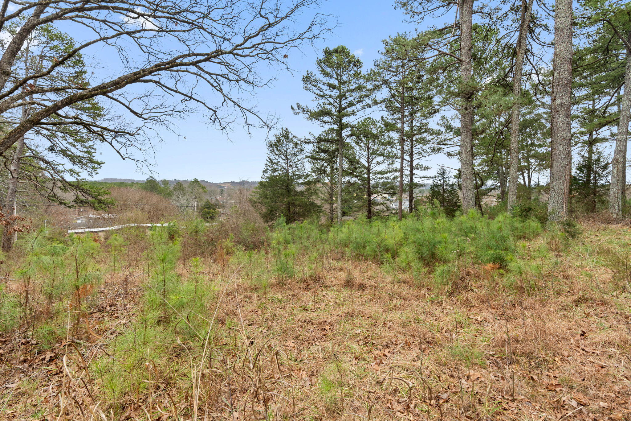 2298 Pine Grove Road