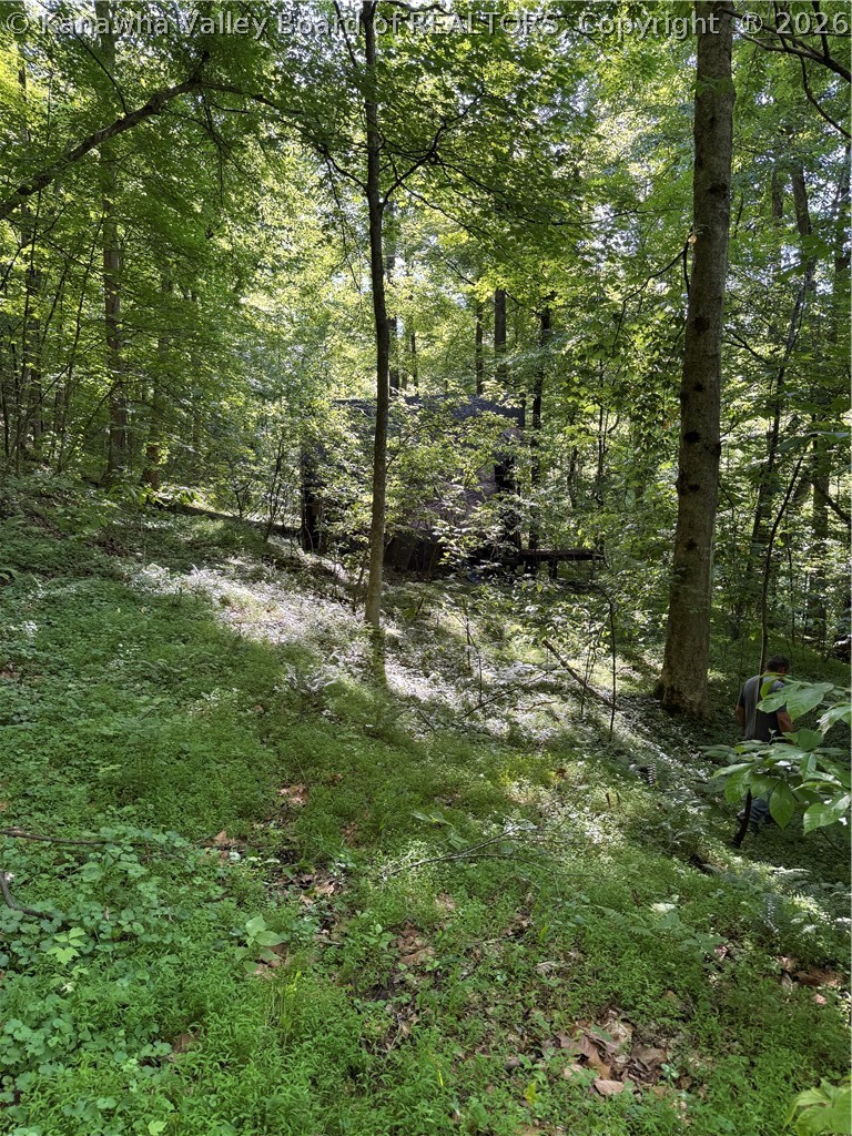 1492 Big Creek Road
