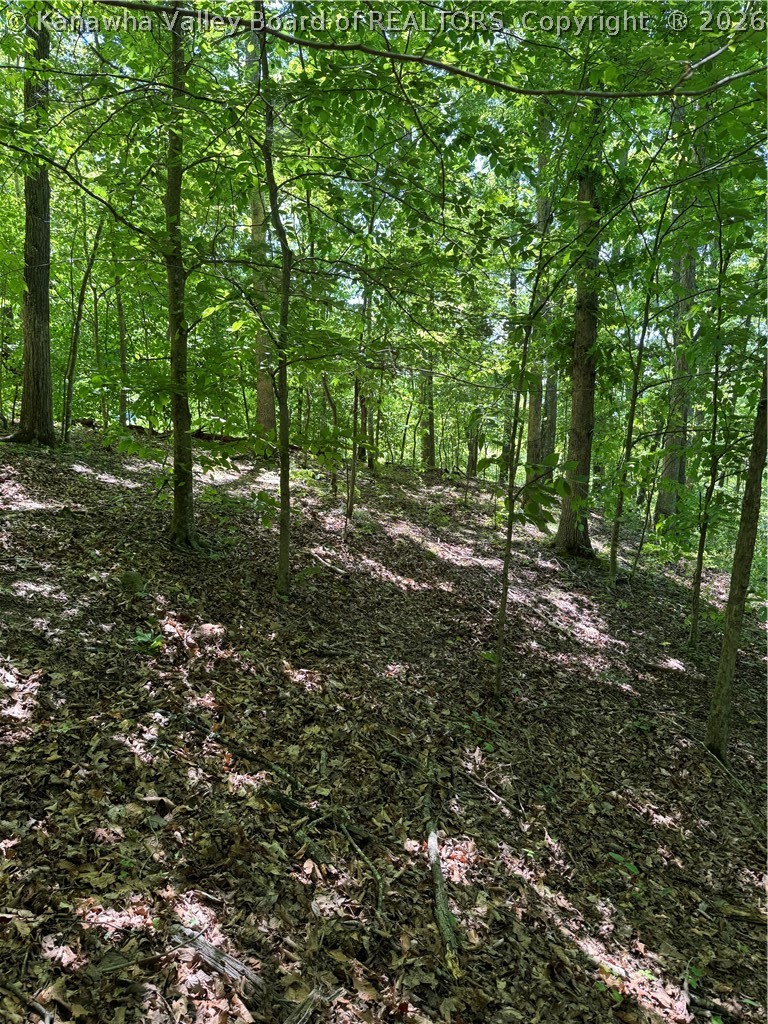 1492 Big Creek Road