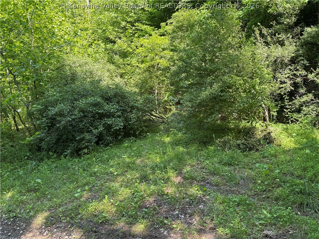 1492 Big Creek Road