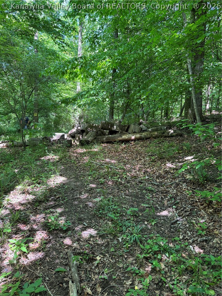 1492 Big Creek Road