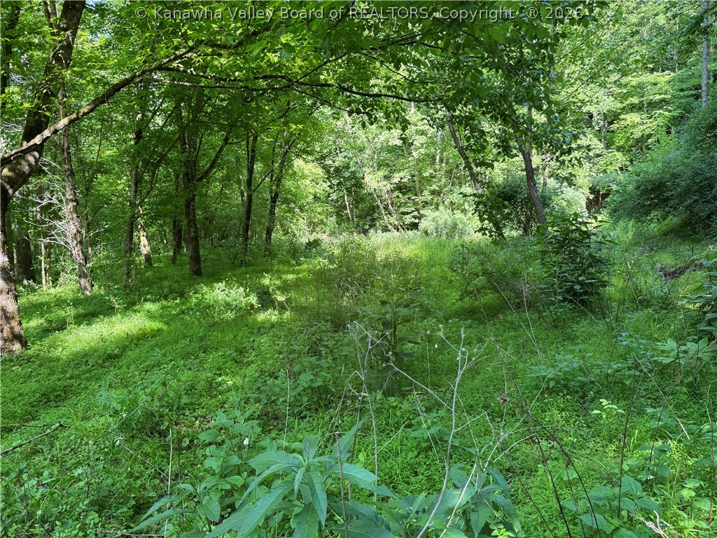 1492 Big Creek Road