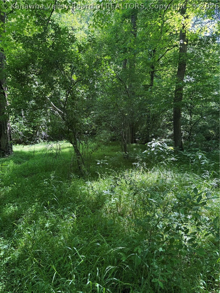 1492 Big Creek Road