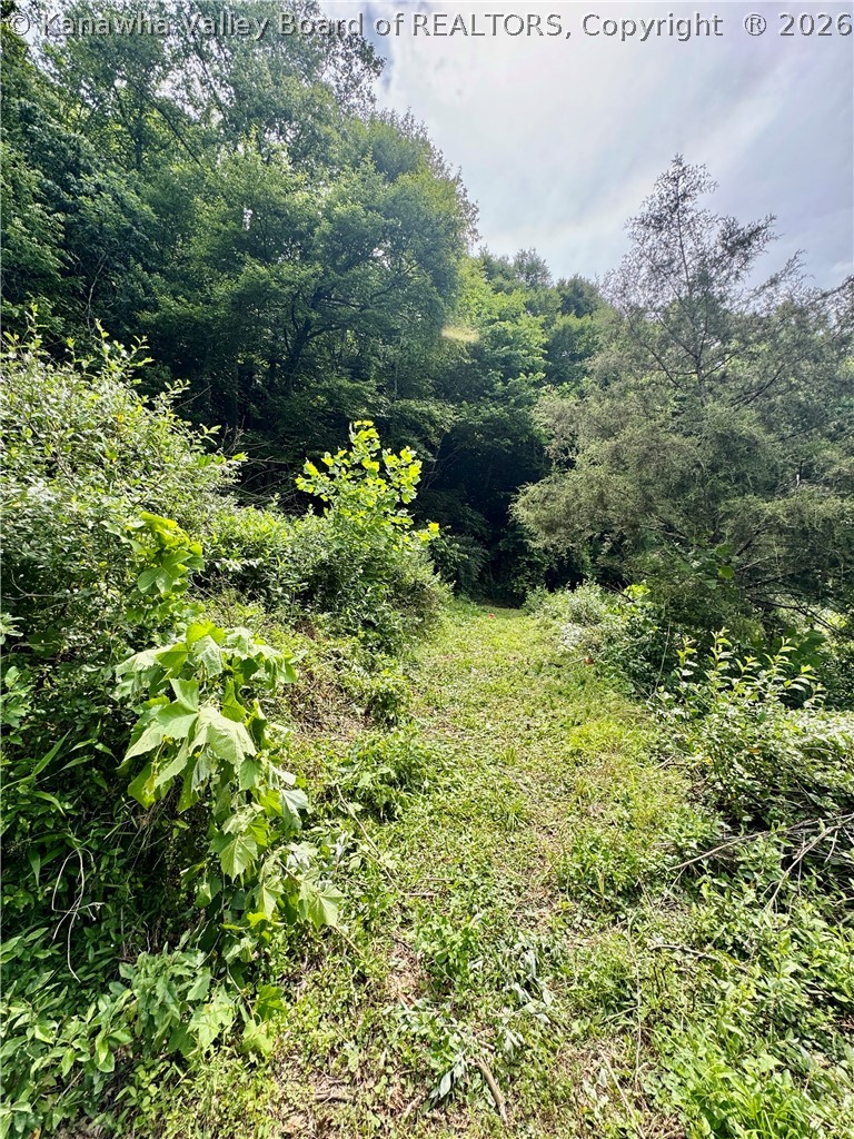 1542 Trace Fork Road