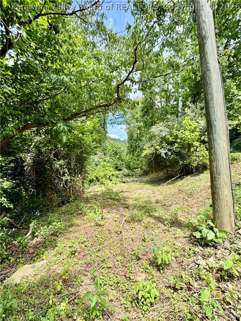 1542 Trace Fork Road