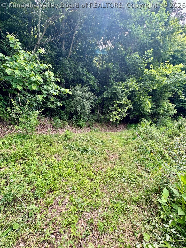 1542 Trace Fork Road