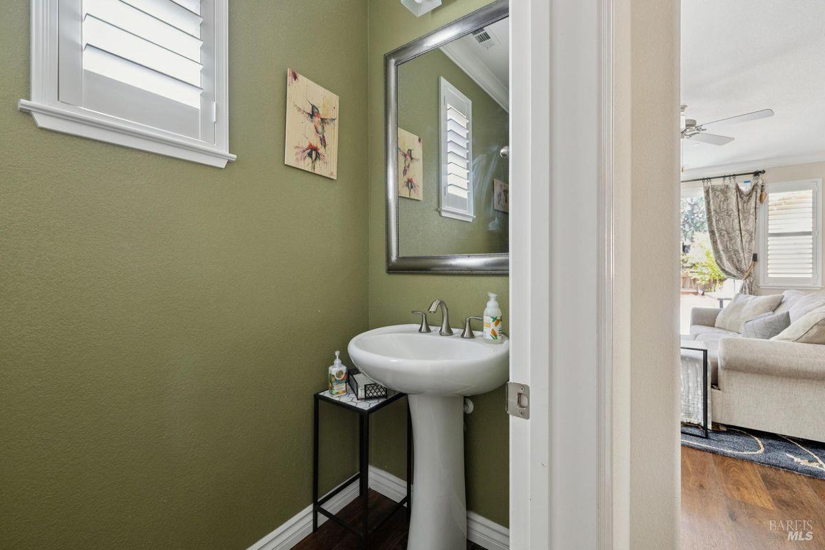 Powder room with olive-green walls, a white pedestal sink, and a large framed mirror.
