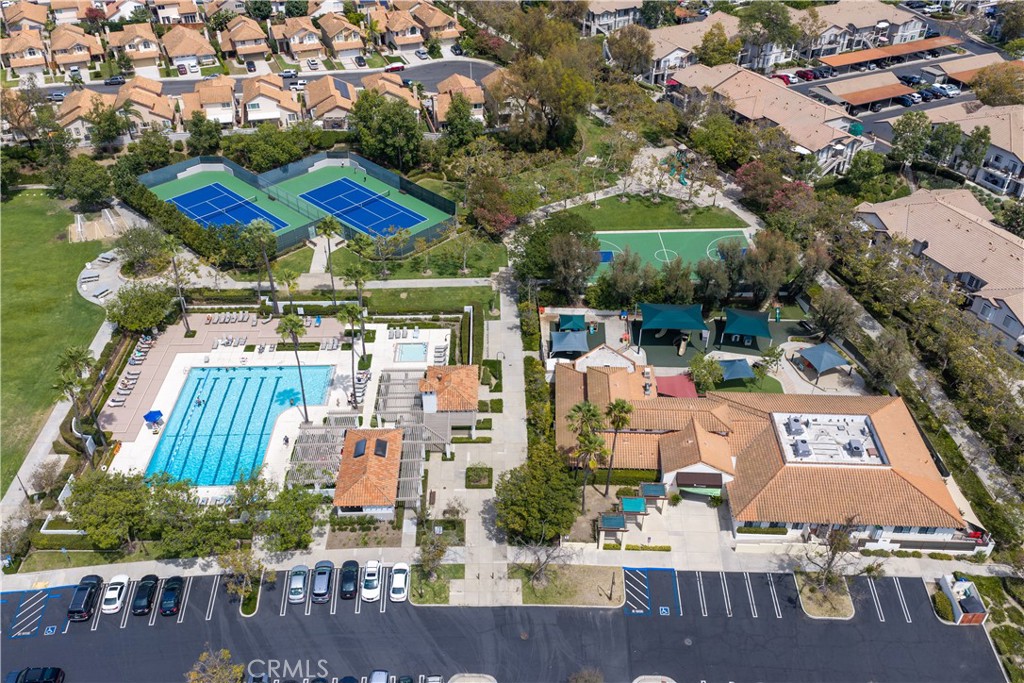 8 Dorado