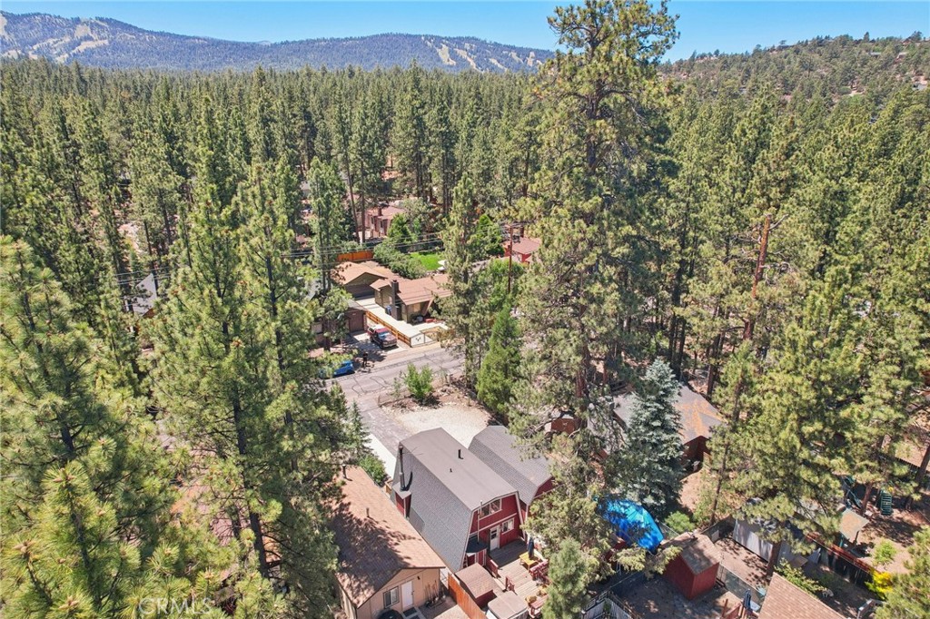 1009 Sugarloaf Boulevard