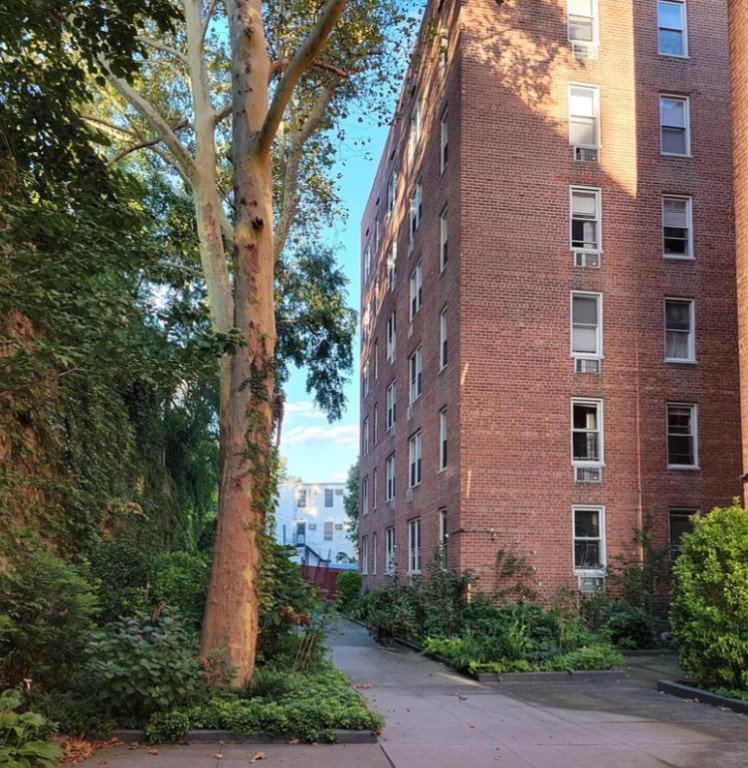 651 Vanderbilt Street 6W