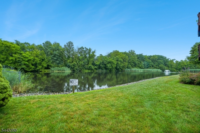 234 Terrace Lake Dr