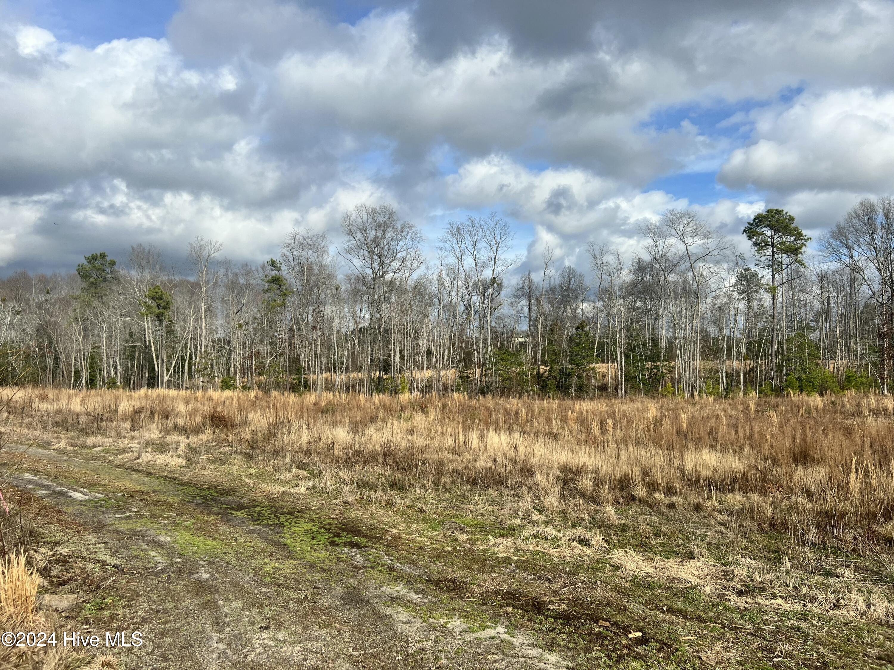 1590 Nick Coley Road