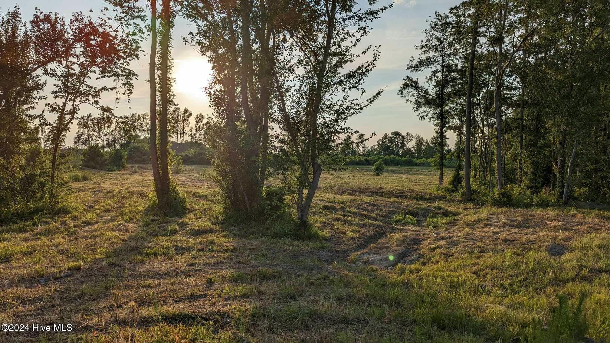 1590 Nick Coley Road