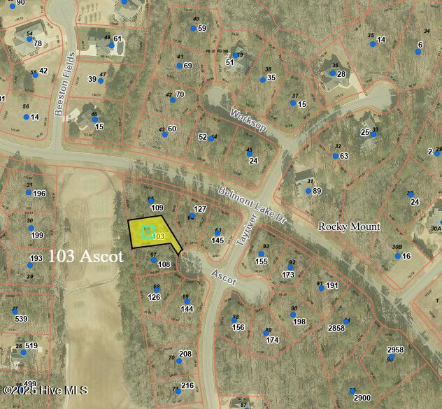 103 Ascot