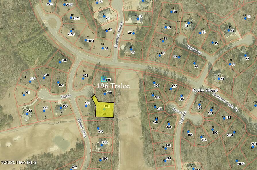 196 Tralee