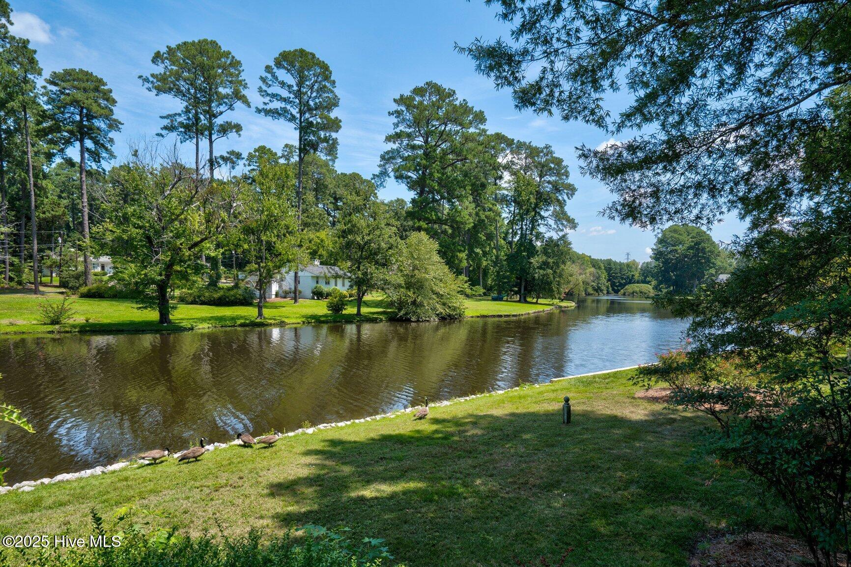 17 Merganser Cove