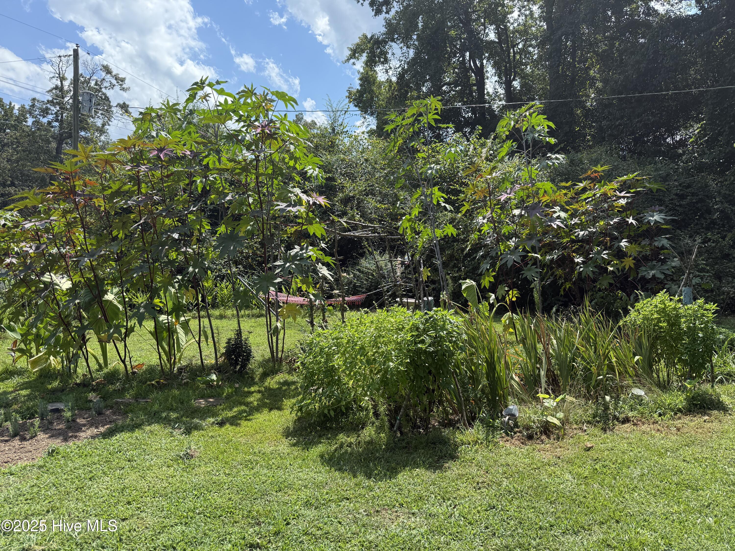 6434 Perry Road