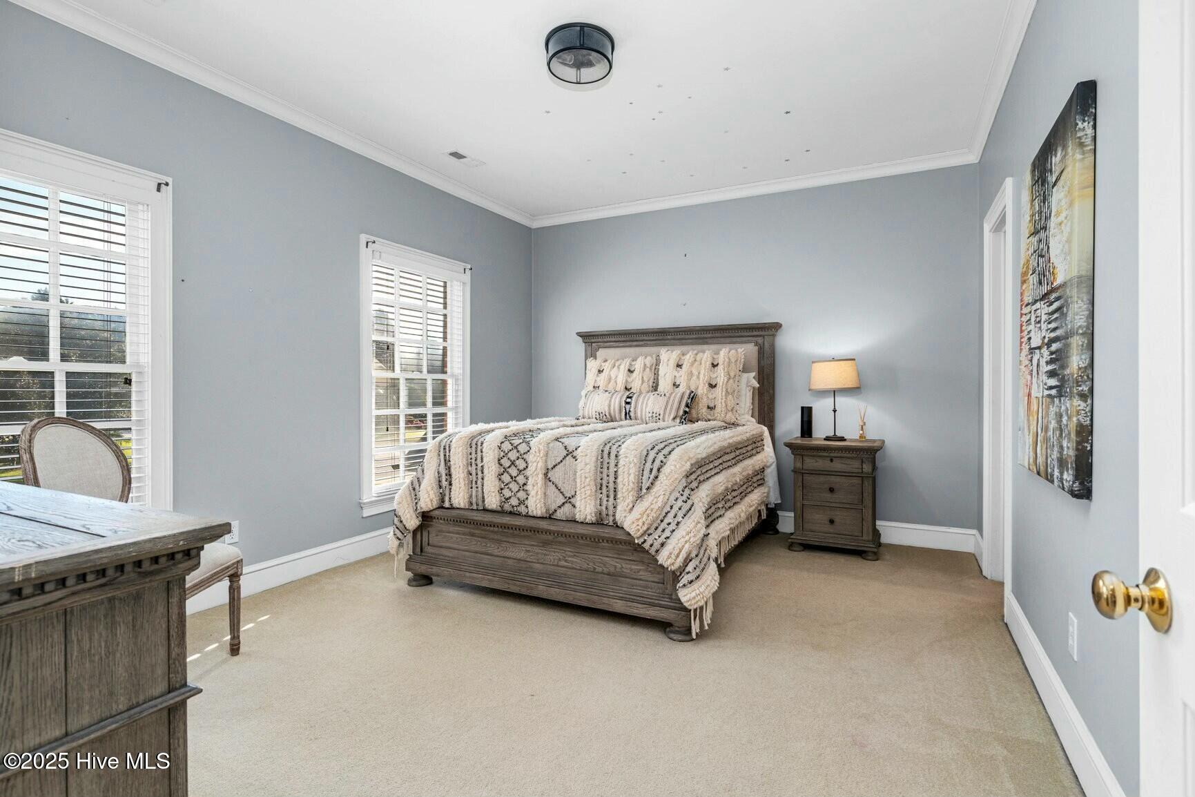 3001 Greystone Drive