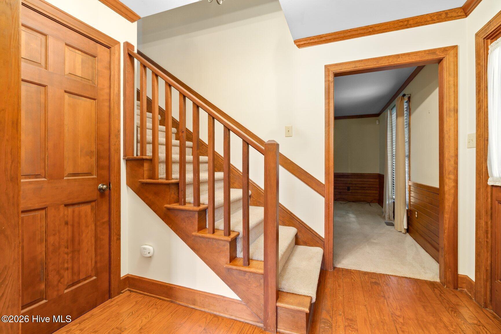 117 Shannon Court