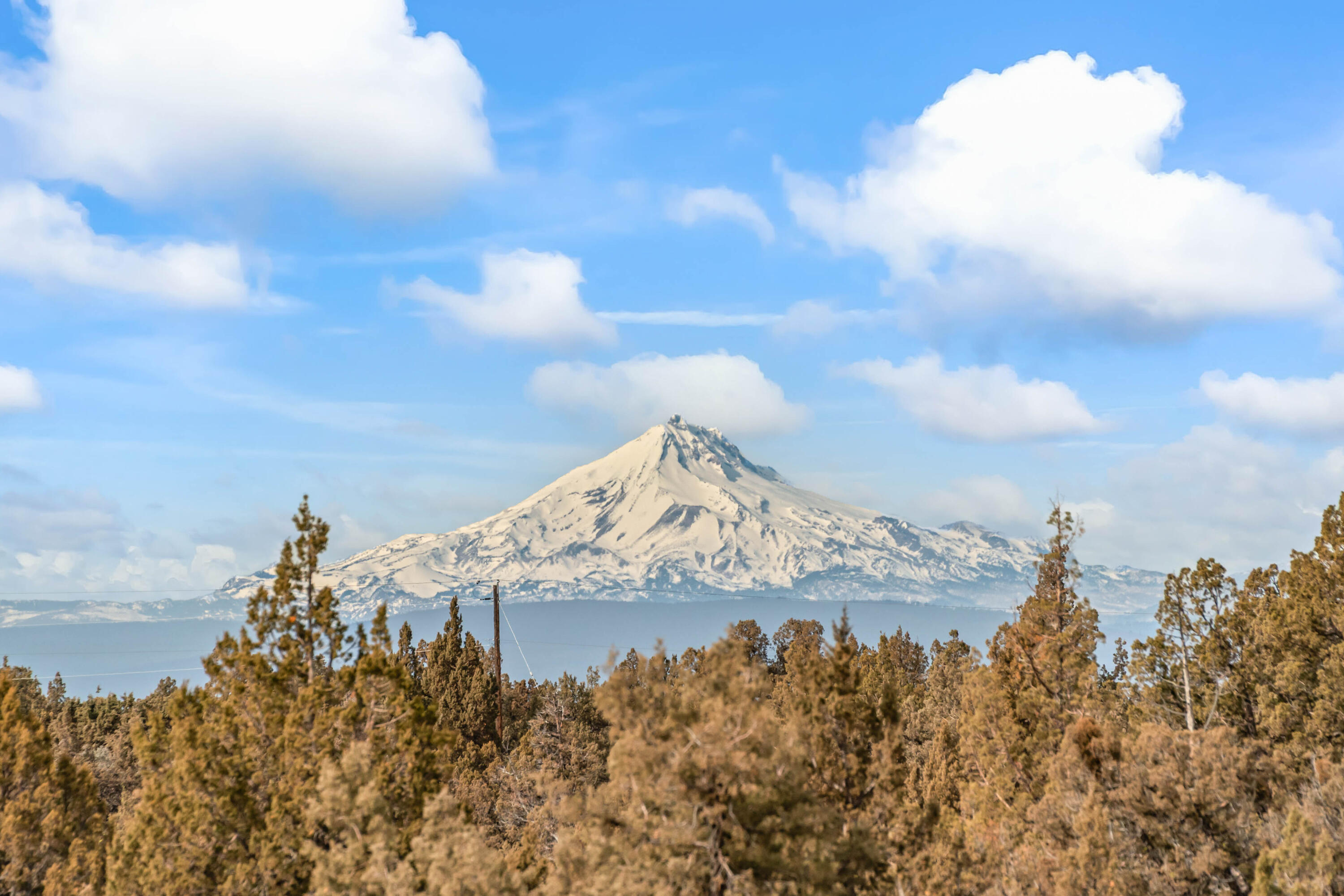 18385 SW Mount Adams Loop