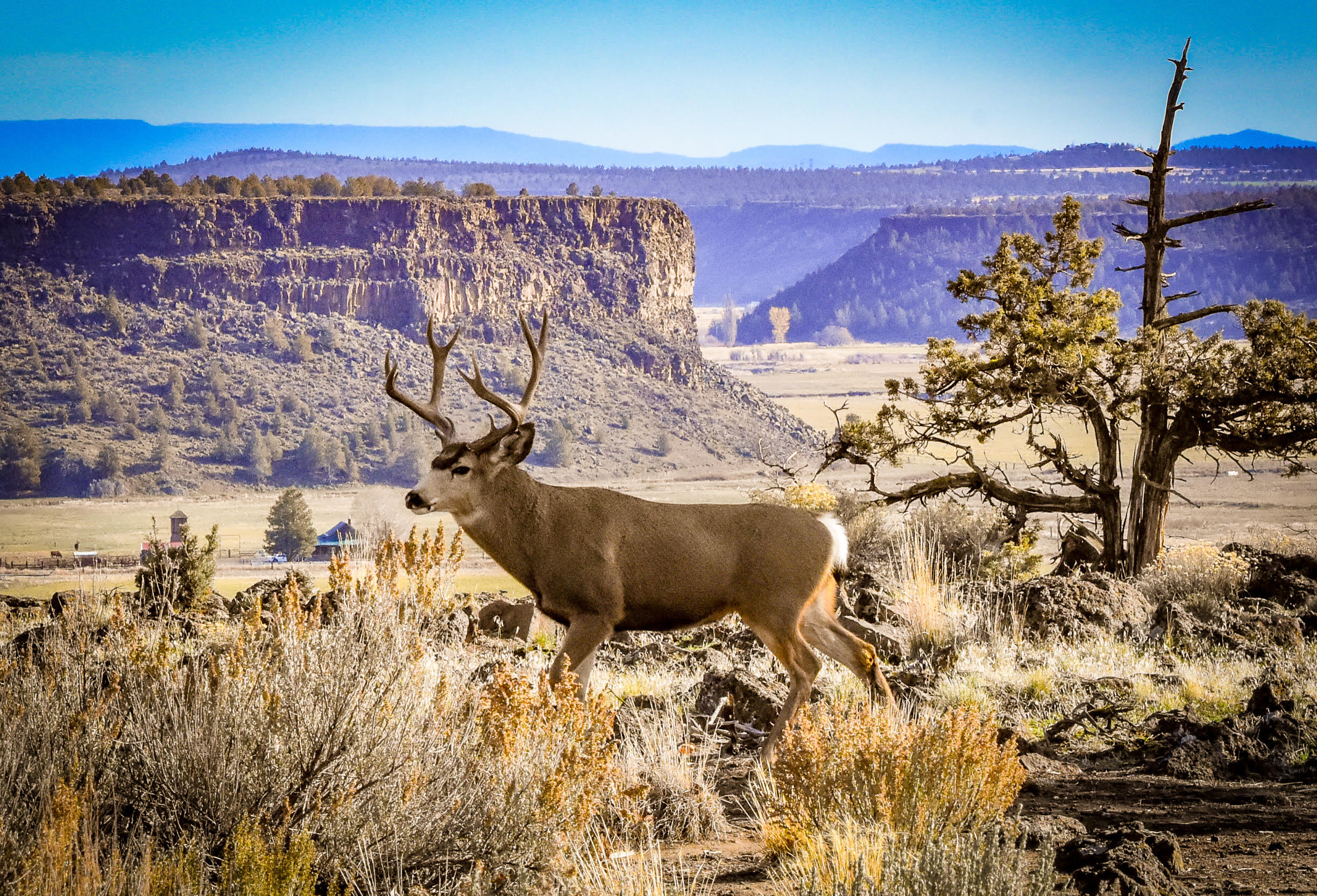 20799 NW Oneil Highway