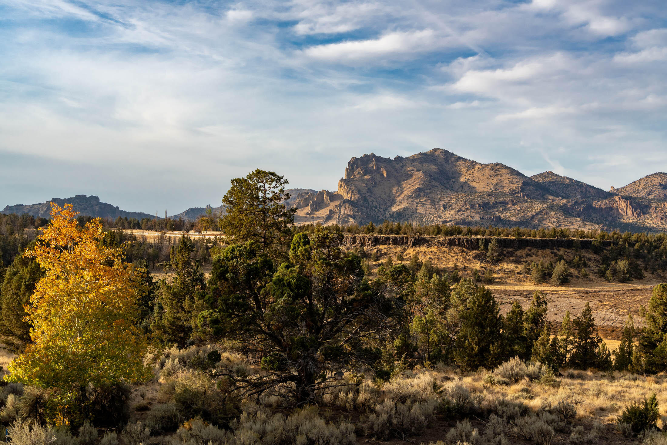 20799 NW Oneil Highway