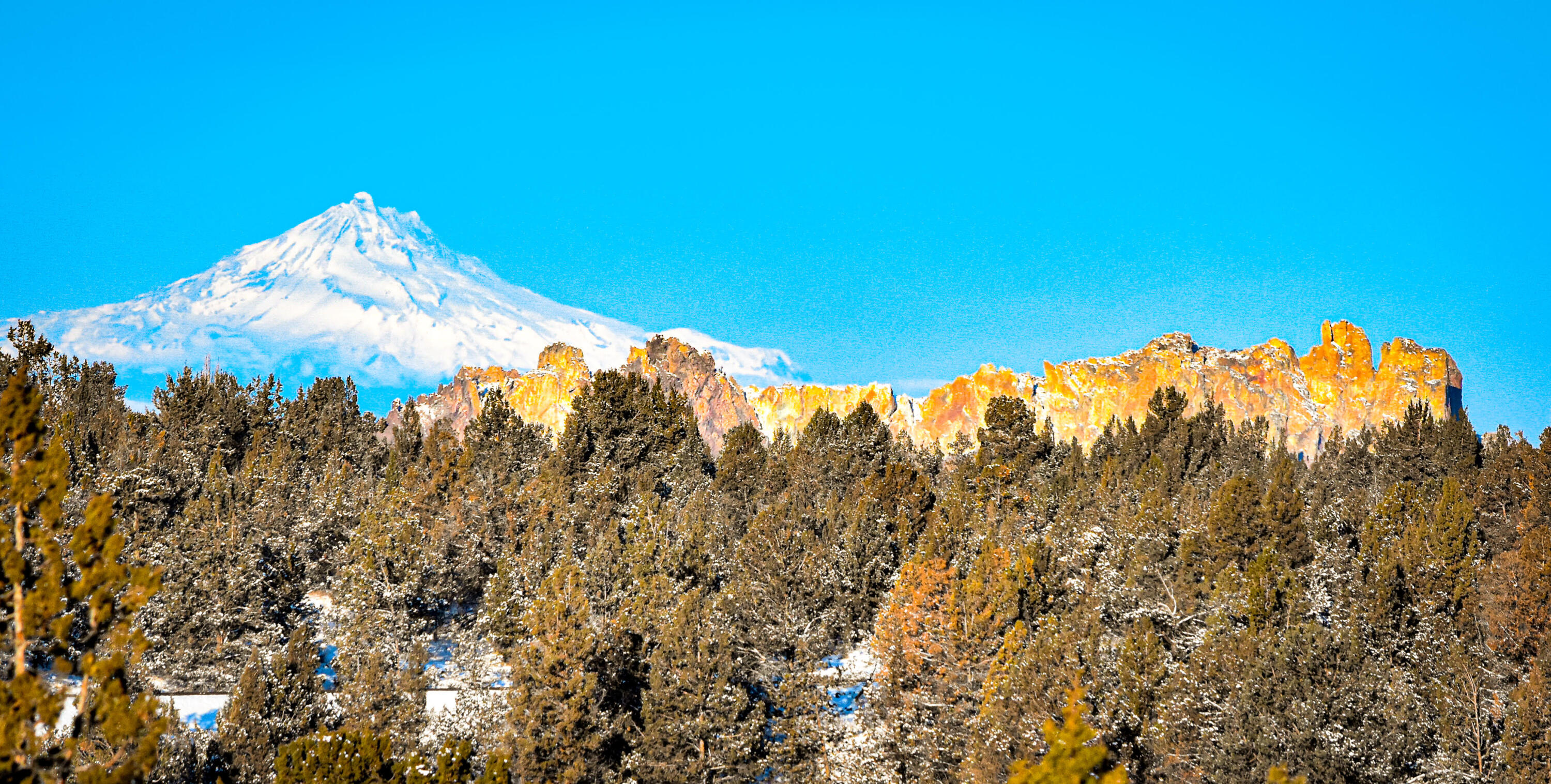 20799 NW Oneil Highway