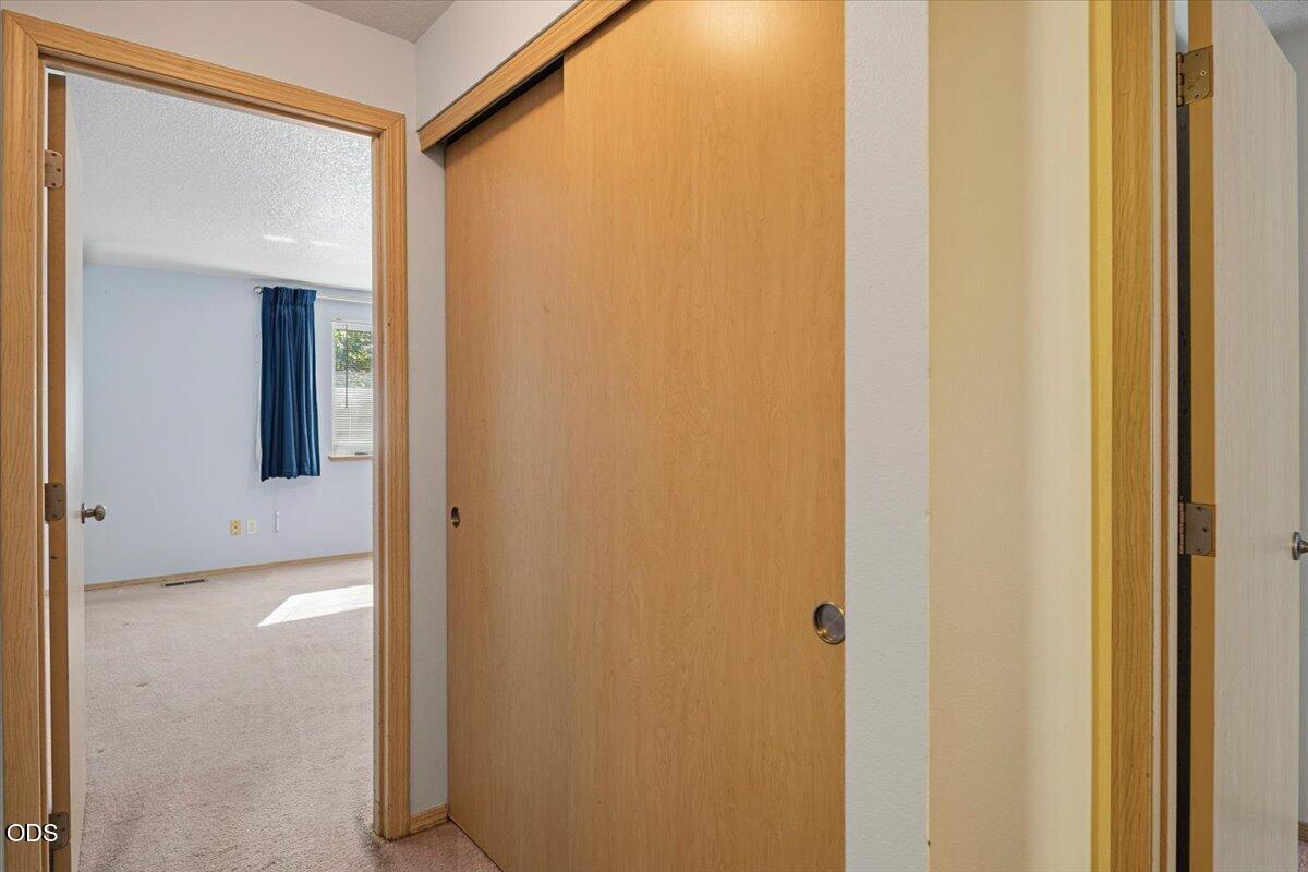 Vacant bedroom with beige carpet and a blue-curtained window, seen beside a wooden sliding closet door.