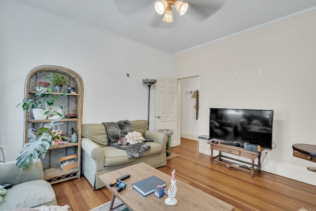 33 Shannon St # 1