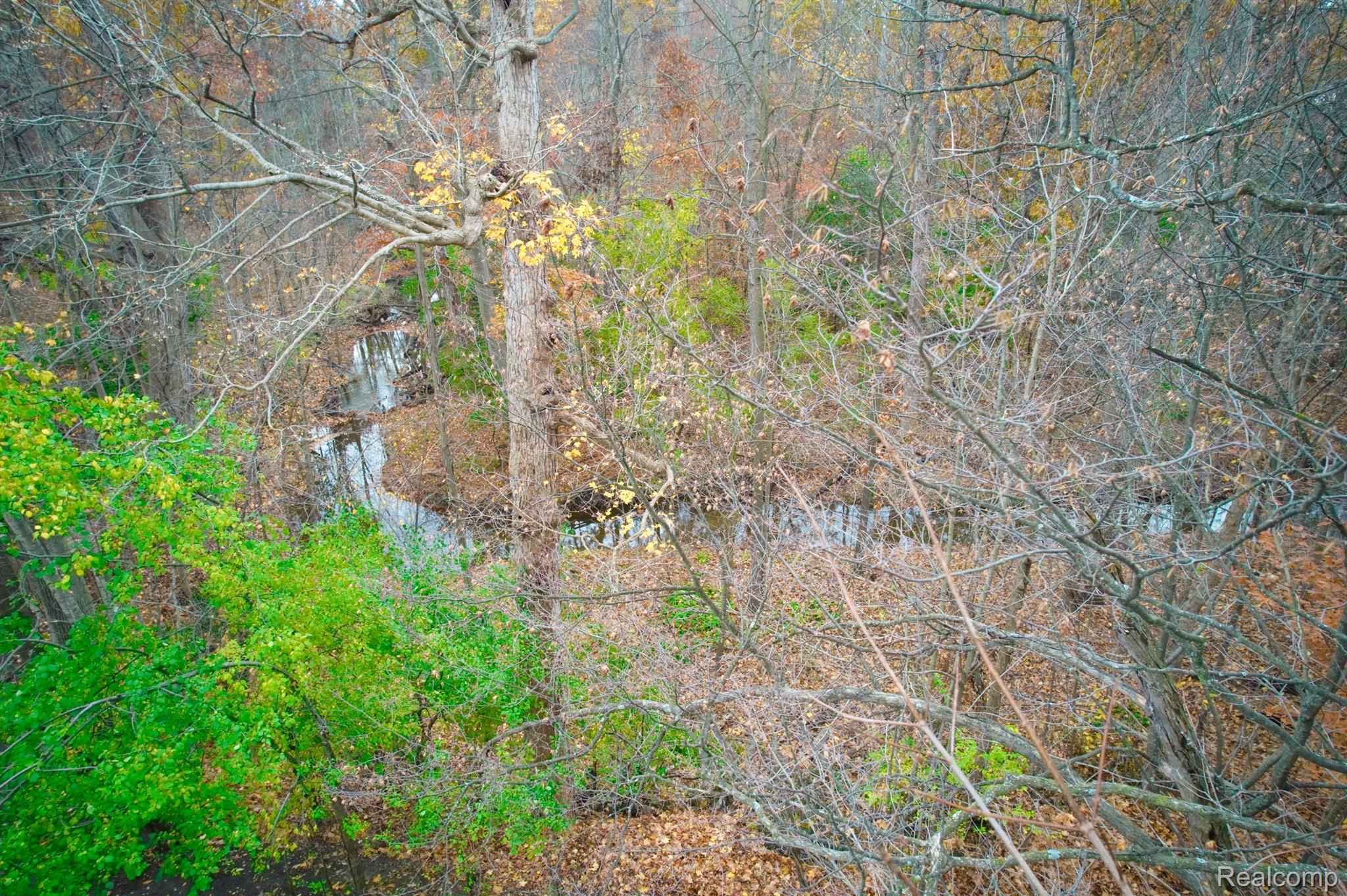 25157 APPLETON Drive