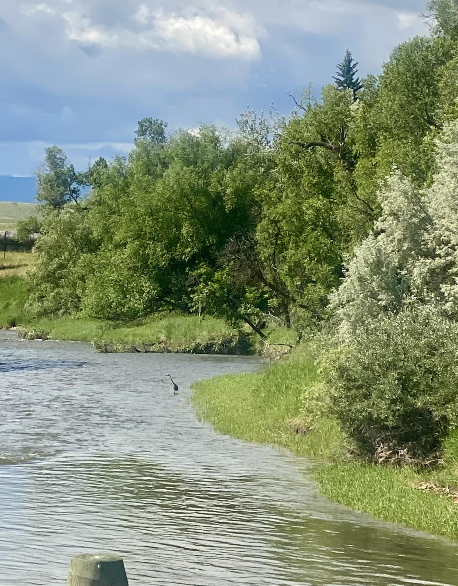 588 Riverstone Drive