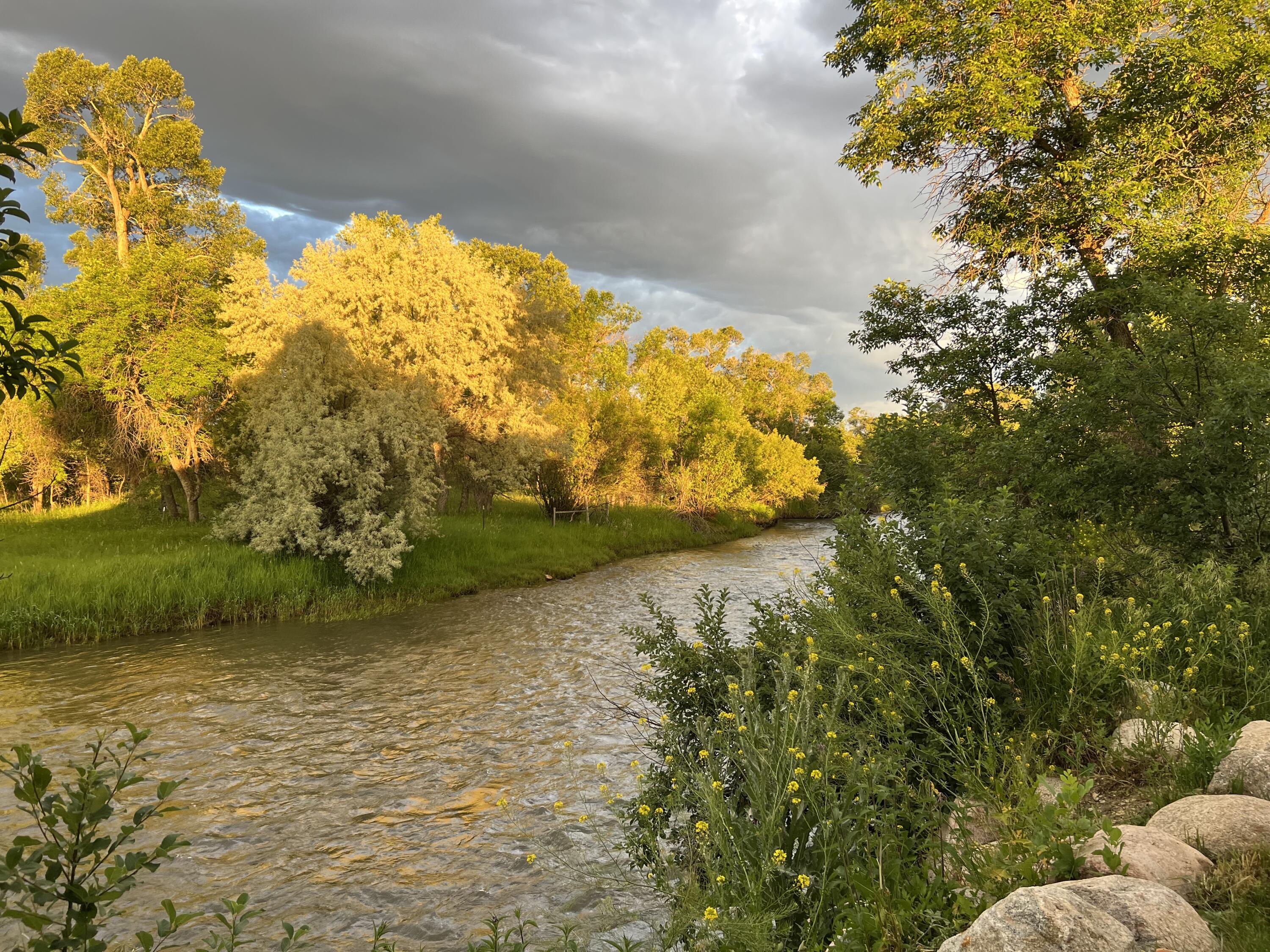 588 Riverstone Drive