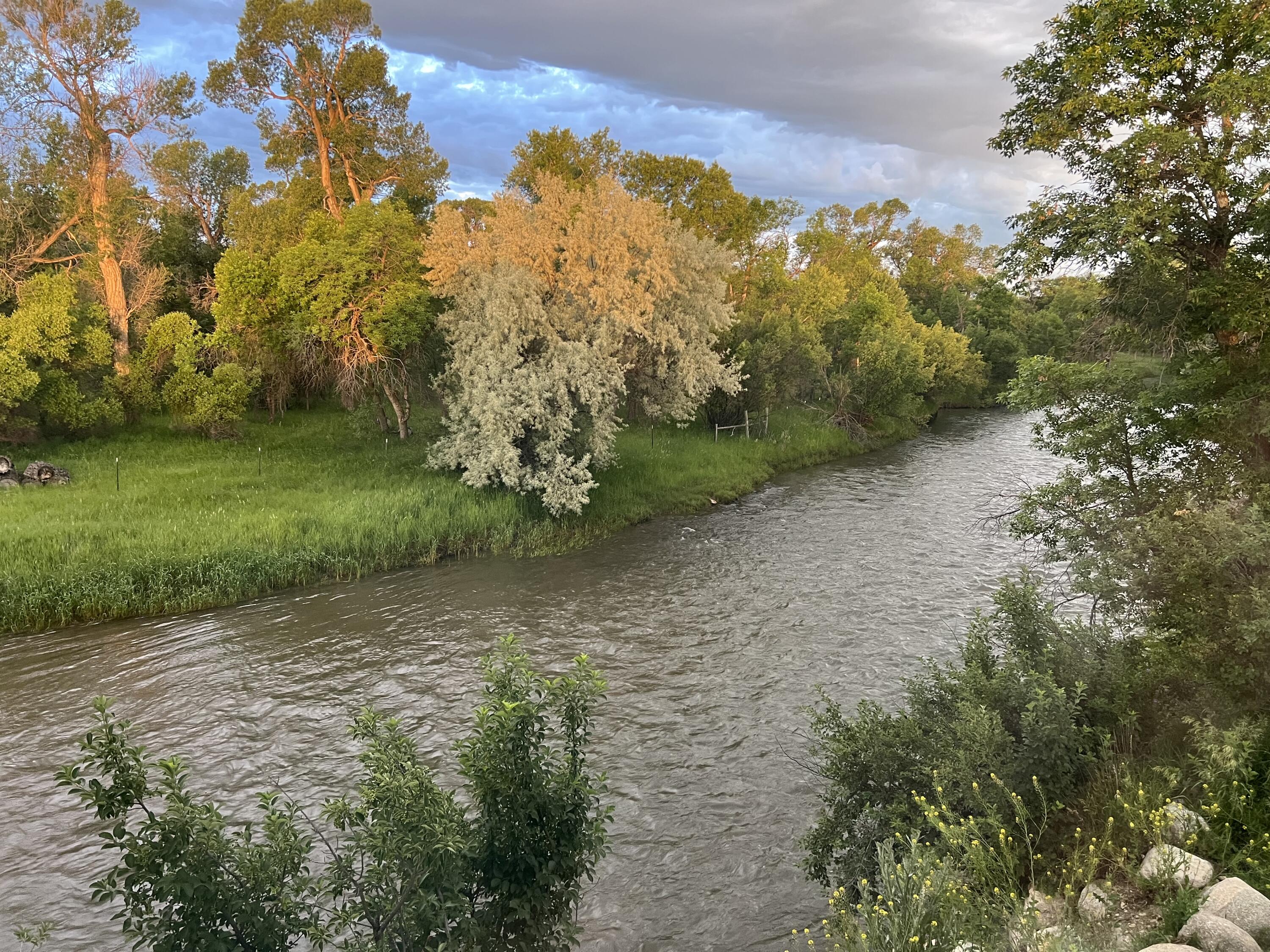 588 Riverstone Drive