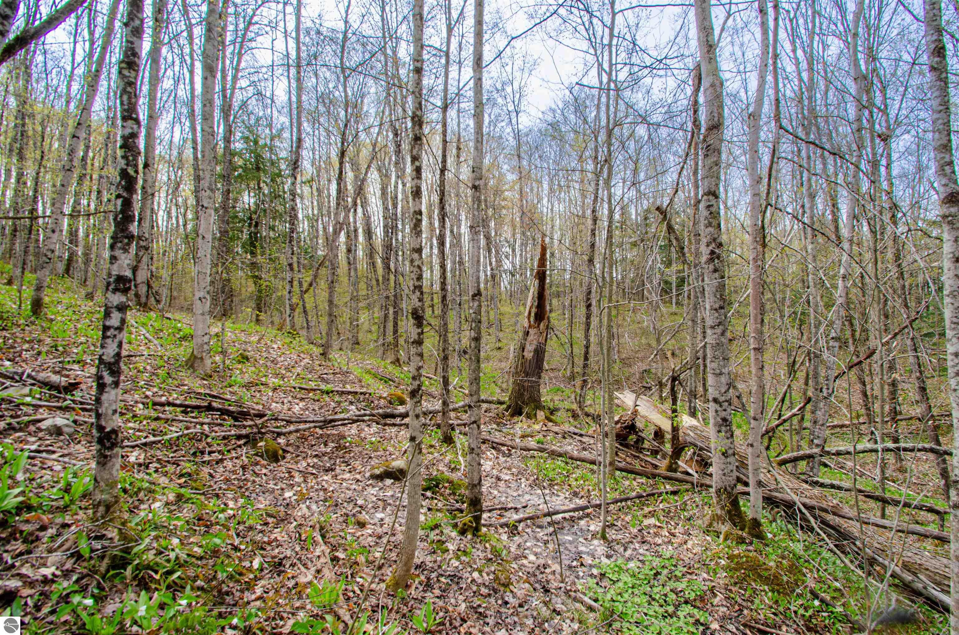 4839 Bunker Hill Road